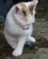 Thumbs/tn__DSC8975 Kopie.jpg